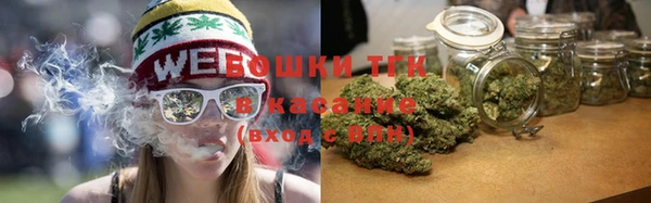 тгк Новозыбков