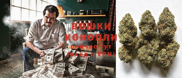 тгк Новозыбков