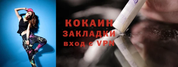тгк Новозыбков
