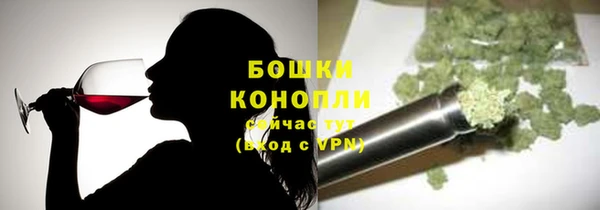 ПСИЛОЦИБИНОВЫЕ ГРИБЫ Новодвинск