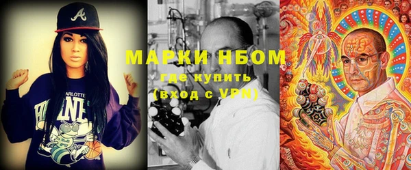 тгк Новозыбков