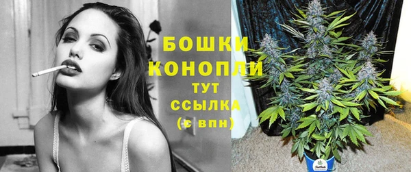ПСИЛОЦИБИНОВЫЕ ГРИБЫ Новодвинск