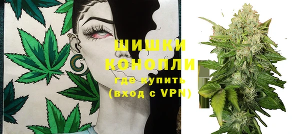 тгк Новозыбков