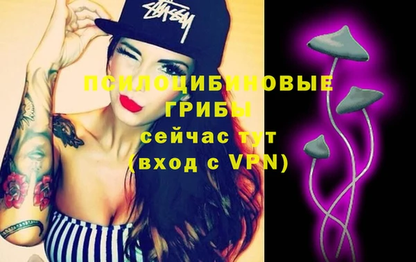 ПСИЛОЦИБИНОВЫЕ ГРИБЫ Новодвинск