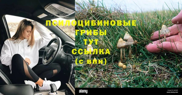 a pvp Новокубанск