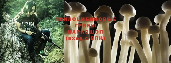 тгк Новозыбков