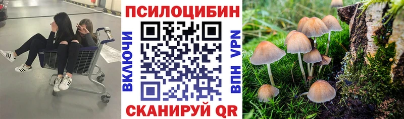 Псилоцибиновые грибы Psilocybe наркошоп Тырныауз